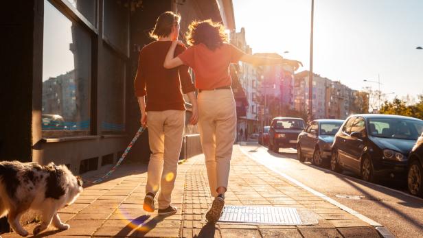 Back view of couple man and woman is walking around city with their dog. Sunset light in background