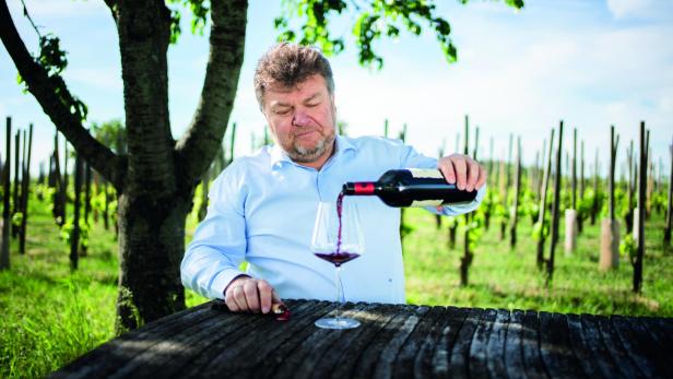 Albert Gesellmann sitzt an einem Holztisch in einem Weingarten unter einem Baum und gießt Rotwein in ein Glas