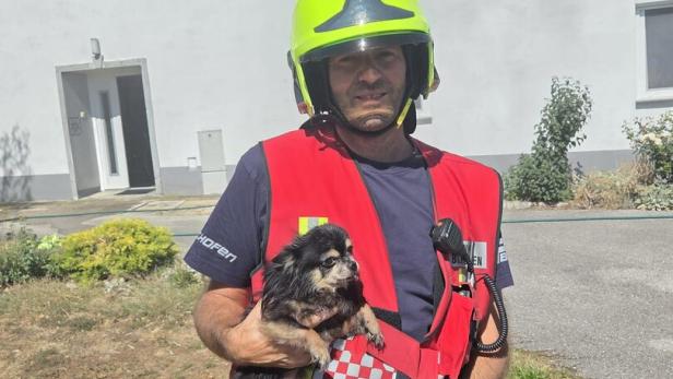 Feuerwehrmann mit gerettetem Hund