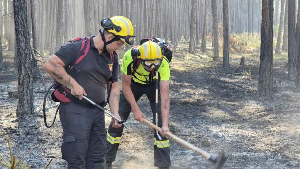 Zwei Feuerwehrleute löschen Glutnester im verkohlten Wald mit Werkzeugen.