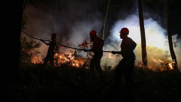 Tourists flee as Greek wildfire descends on resort village in Halkidiki, Greece