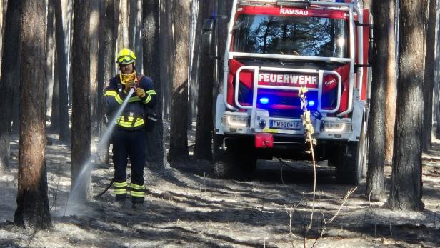 ++ HANDOUT ++ BRAND IM FÖHRENWALD IN NIEDERÖSTERREICH UNTER KONTROLLE