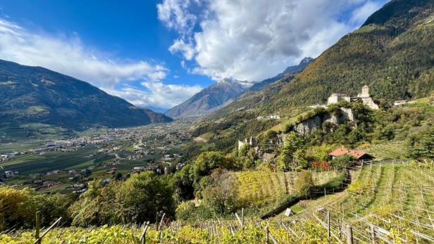 Blick über das Etschtal in Südtirol mit Weinbergen im Vordergrund und der Burgruine Schloss Lebenberg auf einem bewaldeten Hügel.
