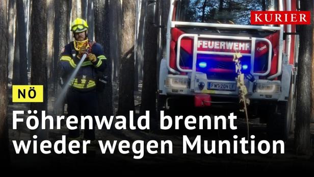 Munitionsteile lösten erneut Großbrand im Föhrenwald aus