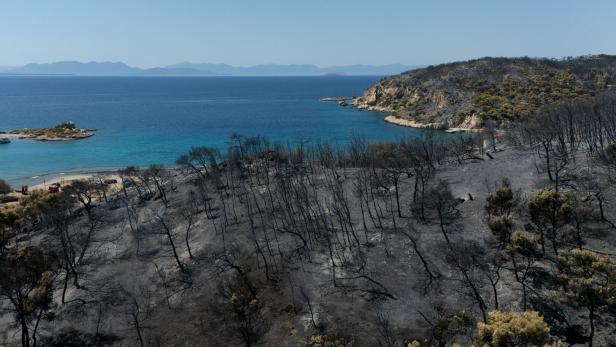 Aftermath of wildfire on Salamina island