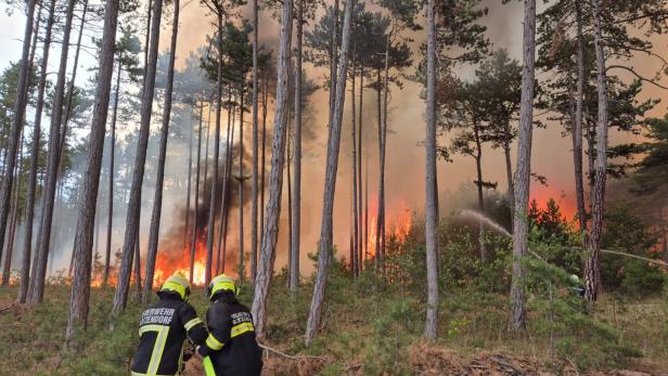 ++ HANDOUT ++ NIEDERÖSTERREICH: ERNEUTER BRAND IM FÖHRENWALD