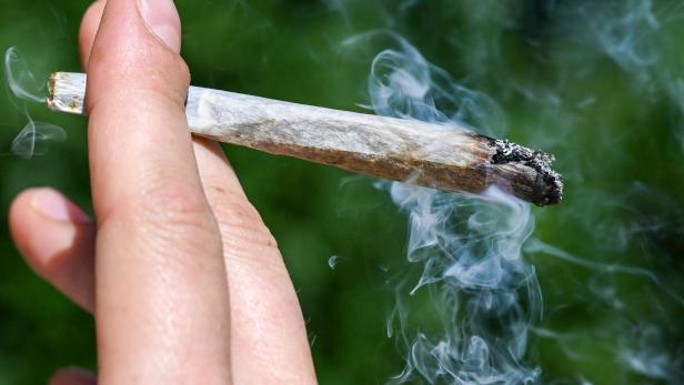 Cannabis-Messe "Mary Jane Berlin"