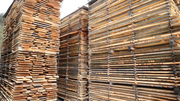 Gestapeltes, gesägtes Holz lagert im Freien.