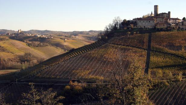 Wein: Burgenland trifft Piemont