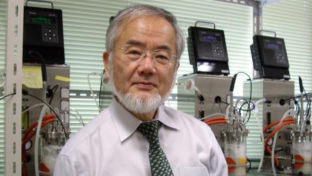 Yoshinori Ohsumi bekommt den Medizin-Nobelpreis.