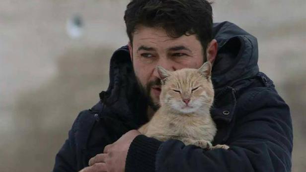 Ein Mann hält eine orangefarbene Katze im Arm.