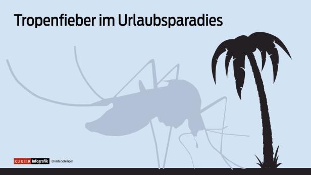 Chikungunya: Neues Virus in der Karibik