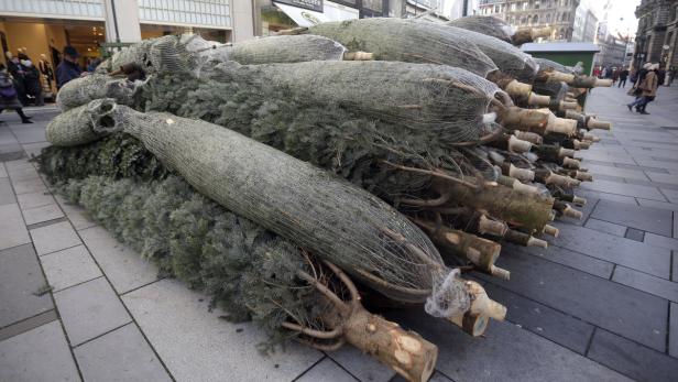 Am 12. Dezember startet der offizielle Christbaumverkauf in Wien.