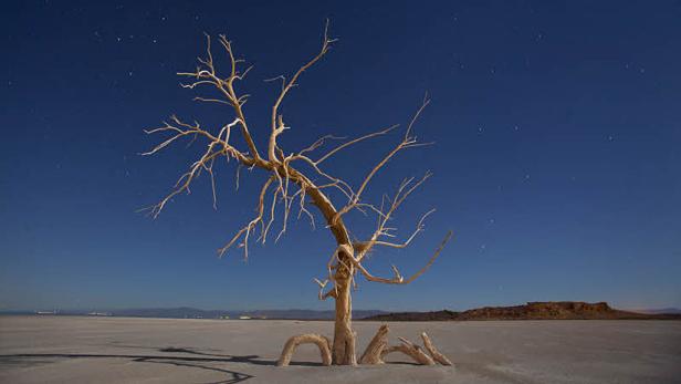 Bilder des Jahres 2011