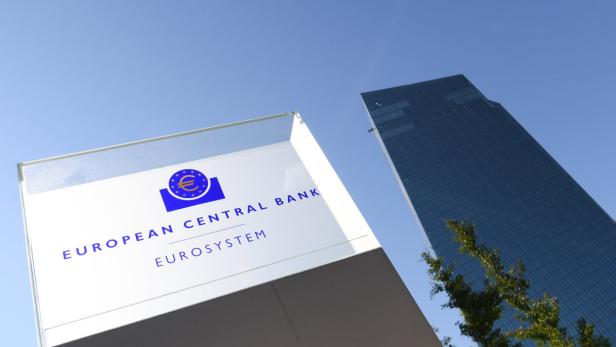 Die Anleihenkäufe der EZB zur Ankurbelung der Wirtschaft sind umstritten.