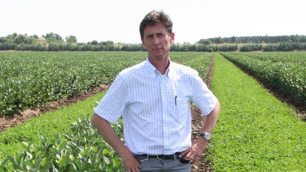 Ein Landwirt steht auf einem Feld mit grünen Pflanzen.