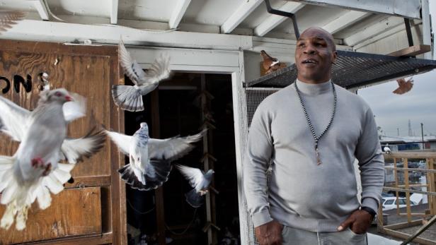 Das Sportjahr: 100 Gründe den Kopf zu schütteln (1)