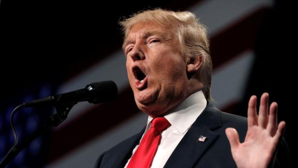 Donald Trump spricht bei einer Veranstaltung mit erhobener Hand ins Mikrofon.
