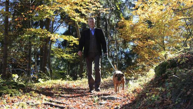 Ein Mann geht mit seinem Hund in einem herbstlichen Wald spazieren.