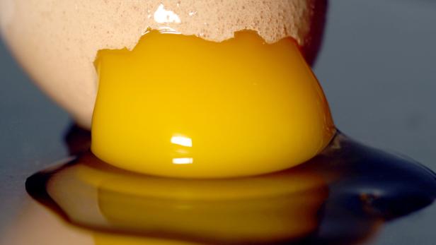Frische Eier müssen kühl und dunkel gelagert werden.
