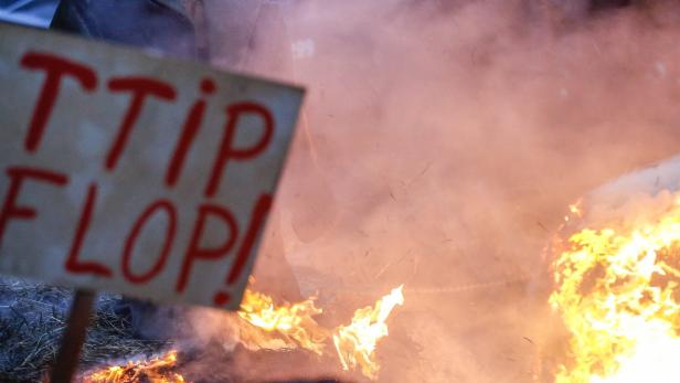 In der EU gab es viele Proteste, weil TTIP großteils geheim verhandelt wird