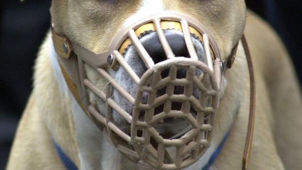 Maulkorb für Kampfhunde entspricht Verfassung