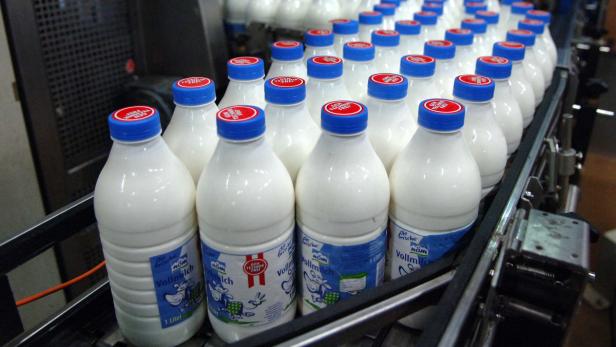 Milchproduktion wird um 15 Prozent steigen