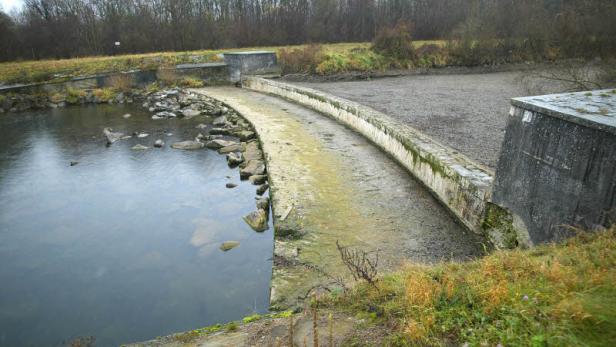 Öko-Fleck für Traisen: Rettung ist unterwegs