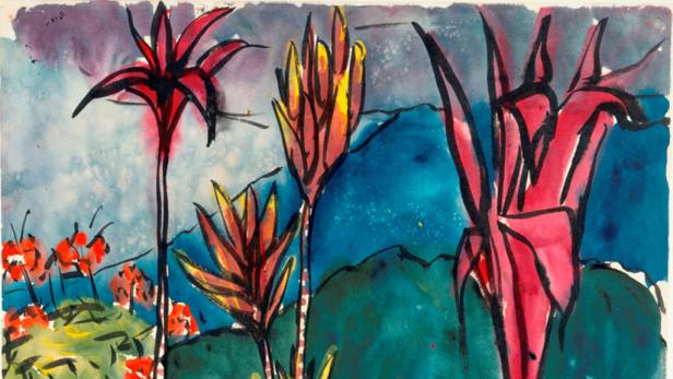 Auf Südsee-Reise am Salzburger Mönchsberg