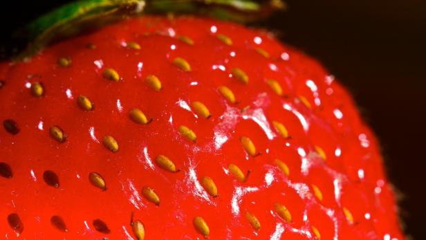 Erdbeeren mit Pestiziden belastet