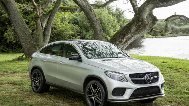 Ein silberner Mercedes-Benz GLE steht auf einer Wiese unter einem Baum.