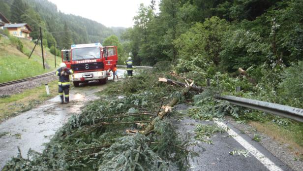 Die Feuerwehr räumt einen umgestürzten Baum von einer Straße.