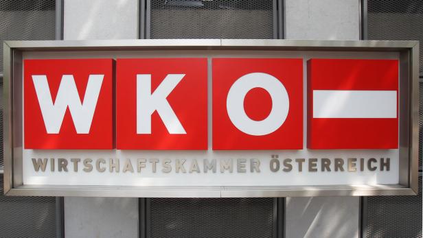 Das Logo der Wirtschaftskammer Österreich (WKO) mit der österreichischen Flagge.