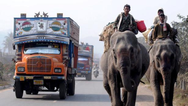 Indiens mörderischer Verkehr