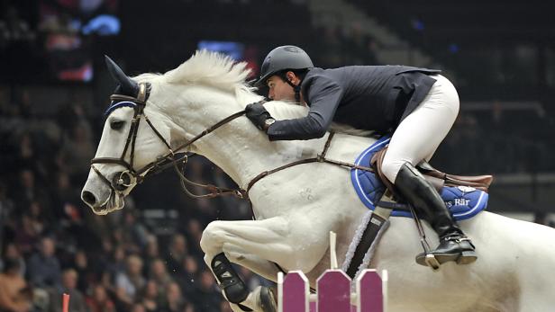 Onassis-Gatte Miranda siegte bei Wiener Pferdefest
