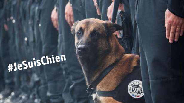 #JeSuisChien - Das Netz trauert um Polizeihund