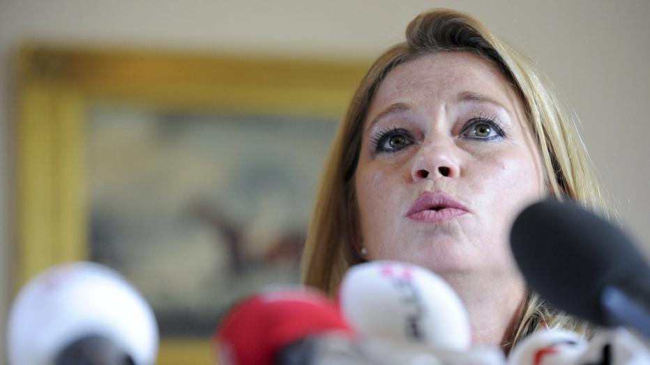 700.000 Euro an HaiderBZÖ verschoben? kurier.at