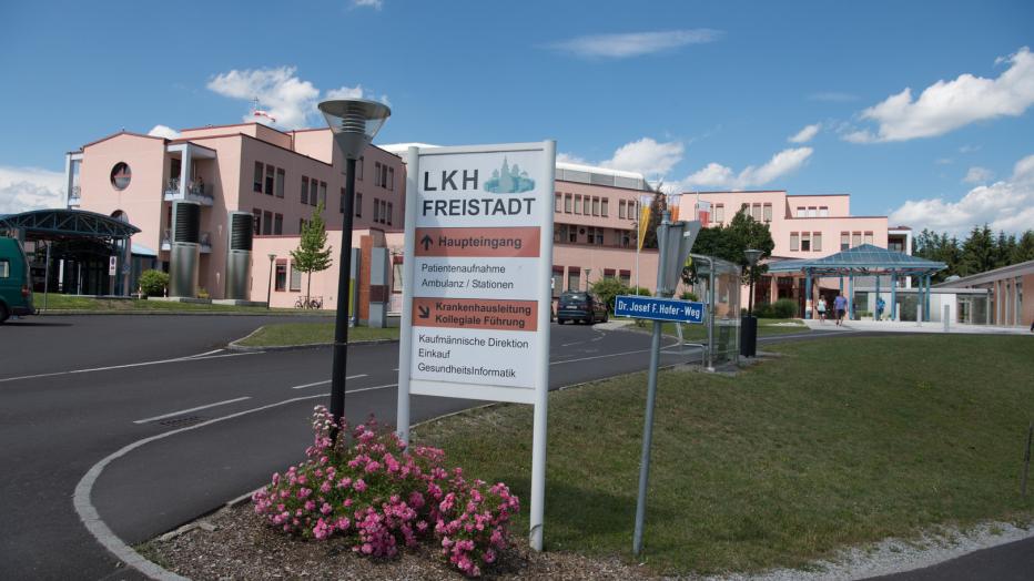 Partnersuche amputiert