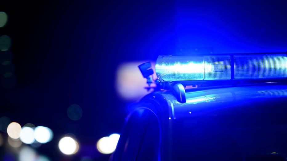 Ermittlungen Laufen: Polizei Beschlagnahmt Schusswaffen Und Sprengstoff Bei Afd Politiker Steinbeck! - fc4smf9