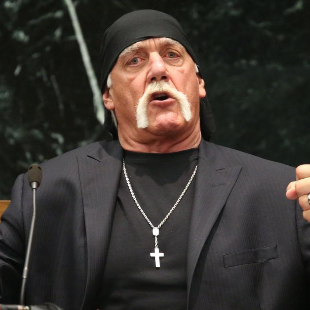 Hogan beleidigt schwarzen Freund seiner Tochter kurier.at Bild