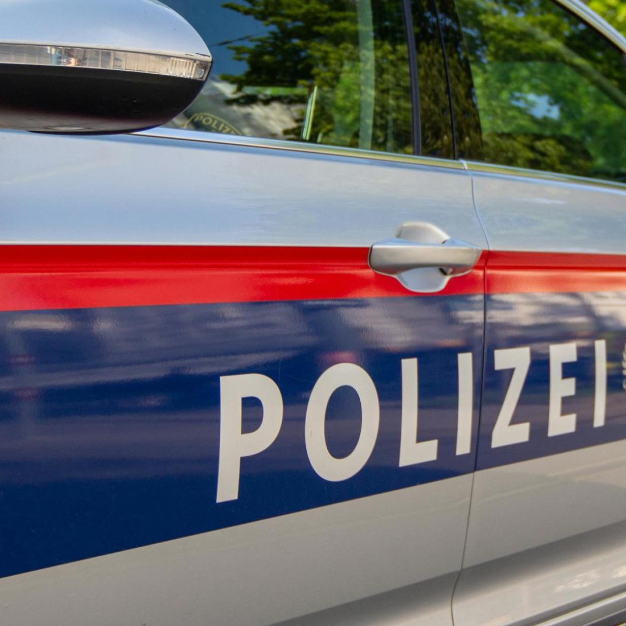 Partnersuche kostenlos in Vlkermarkt gesucht? Ein Klassiker in der Online-Partnersuche 29 Antworten bei 100 kostenlose Anfragen im Partnersuche Vlkermarkt (kostenlos) | comunidadelectronica.com