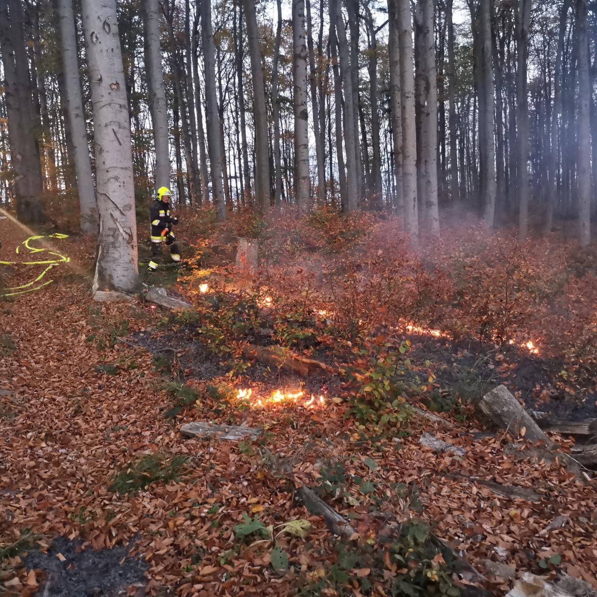 Stallehr Sulz Sulzberg Thringen Thringerberg Tschagguns bersaxen Vandans Viktorsberg Warth Mit 50 Jahren ist dann wohl endgltig Schluss. Fuach - Nachrichten aus der Gemeinde | bubble-sheet.com