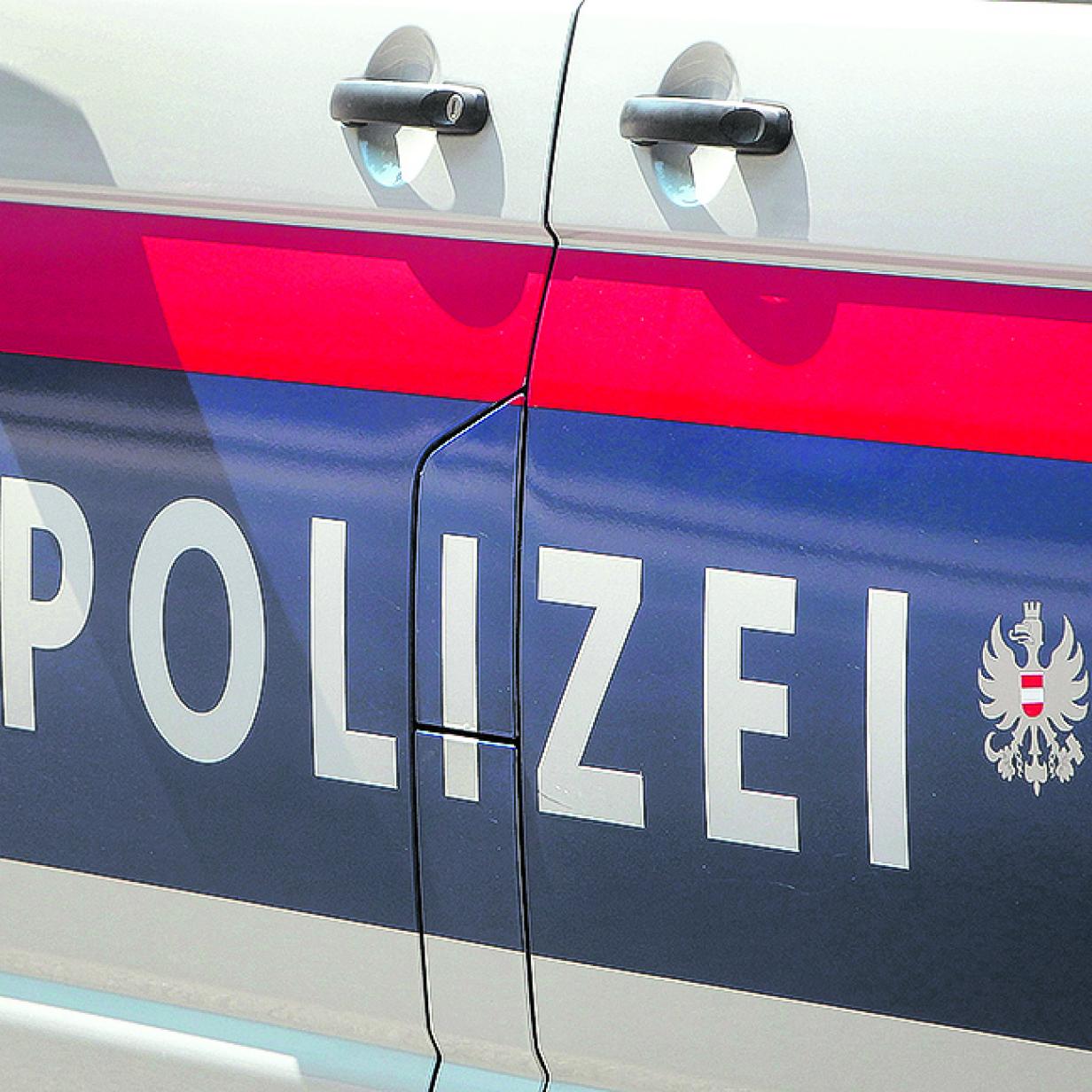 Der Brand wurde von vorbeifahrenden Leuten gesehen und gemeldet. Firmenmitglieder halfen beim endgltigen Ablschen des Brandguts Rankweil: Grnmll-Brand in Kompostieranlage - comunidadelectronica.com