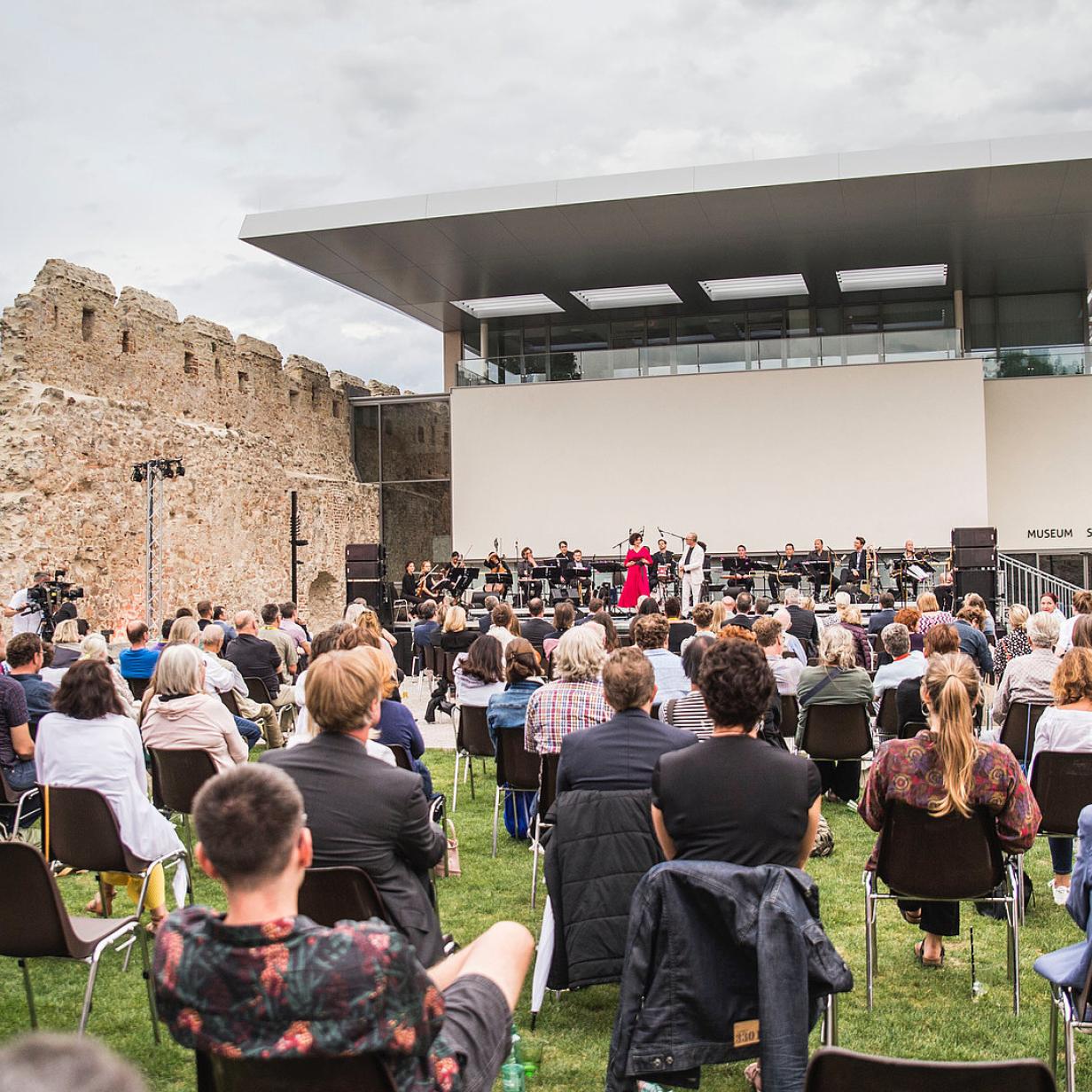 Wr Neustadt Kultursommer Als Rezept Gegen Corona Kurier At