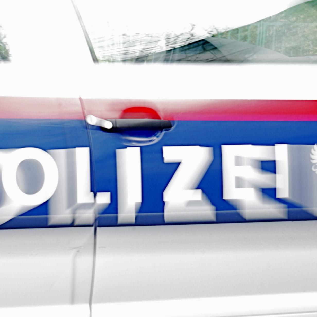 Kärnten: Polizei entdeckte Waffenlager und NS-Devotionalien