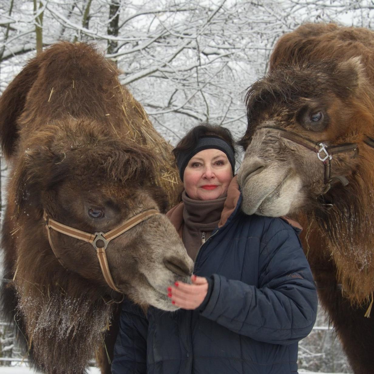 Die Arche Noah f r Tiere ist selbst in Not