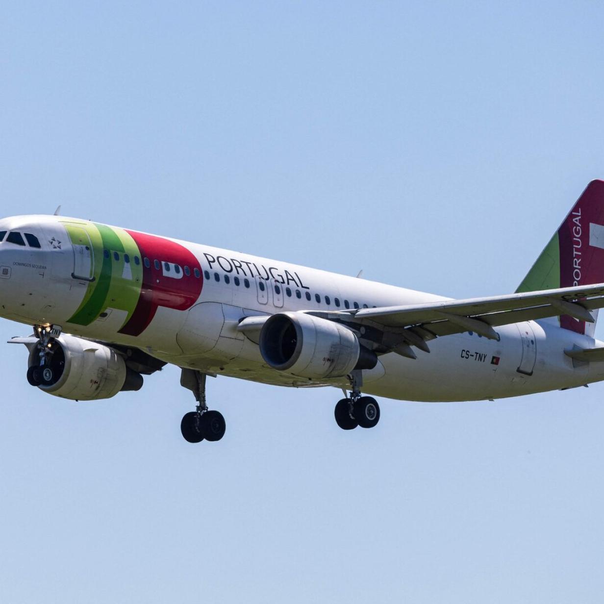 elfbar elfa master akku E-Zigarette im Flugzeug ☀ Regeln, Tipps & Airline-Infos 2026