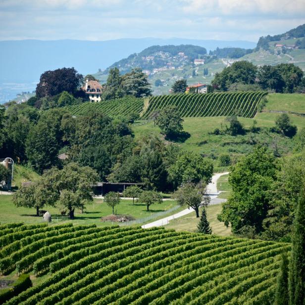 Genfer See und Umgebung