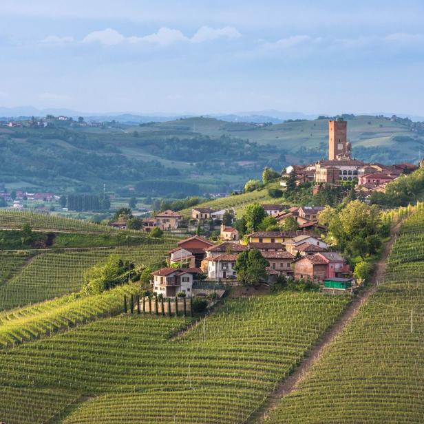 Blick auf eine italienische Hügellandschaft mit Weinbergen und einem Dorf mit Turm.