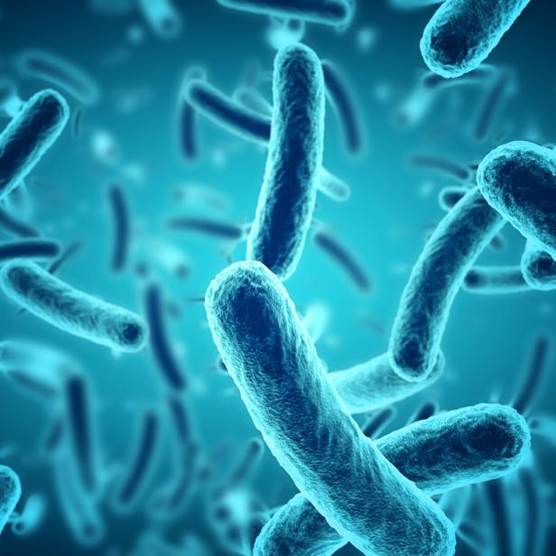 microscopic blue bacteria background